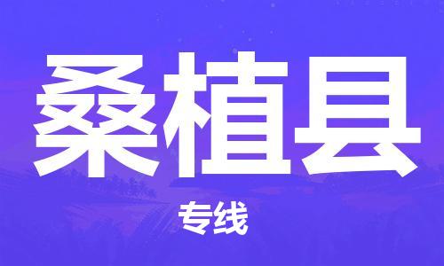 石家庄到桑植县物流专线//石家庄到桑植县物流公司